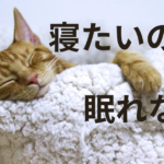 眠れないのはチャンスだ