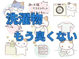 洗濯物が臭くならない方法。おまけに洗濯槽もきれいになる。